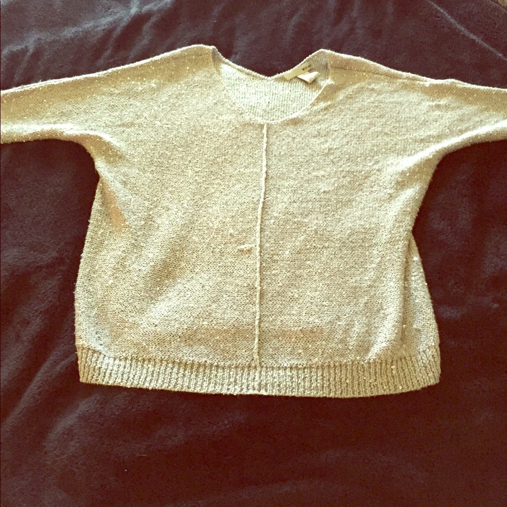 WD NY Sparkle Gray Light Sweater
